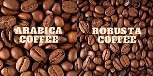 Top Quality Arabica Coffee And Robusta Coffee Beans for Sale