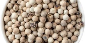 White Pepper Seeds