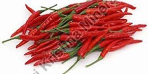 Fresh Red Chilli