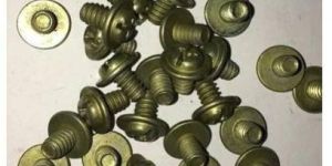 Mild Steel Washer Bolt