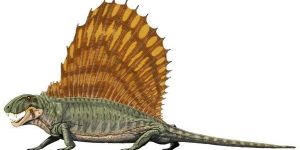 Zoo Paleozoic Specimen