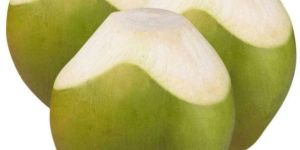 Fresh Tender Coconut