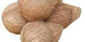 Semi Husked Coconut