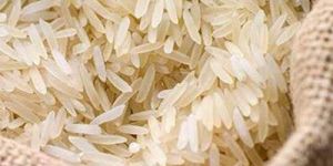 Samba Rice