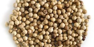 White Pepper Seeds