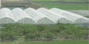 Polyhouse Construction Services