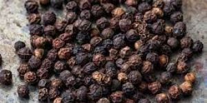 Black Pepper Seeds