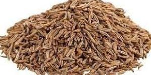 Cumin Seeds