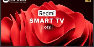 Xiaomi Redmi X43 43 Inch Ultra HD 4K Smart LED TV
