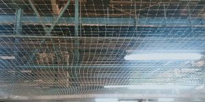 Commercial Bird Net Service