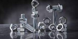 Stainless Steel Fastener