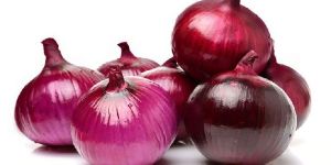Onion