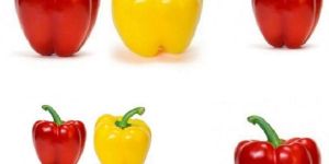 Classy Red & Yellow Capsicum