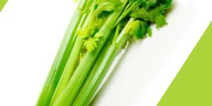 Classy Celery Root