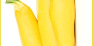 Classy Yellow Zucchini