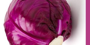 Classy Red Cabbage