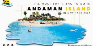 Travel Backpack Bags