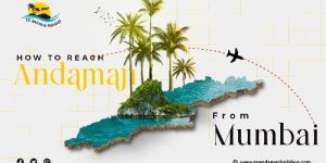 Travel Head Cutting Machine