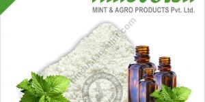 Spray Dried Peppermint Piperita Powder