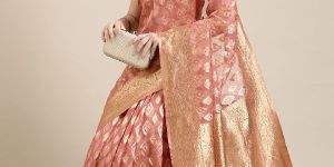 SN074 Peach and Golden Organza Paisley Zari Woven Banarasi Saree