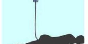 Basti Therapy Services