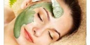 Lepan Therapy Services