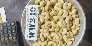 Cashew Kernel