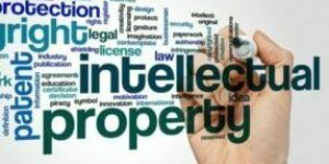 IPR Infringement Services