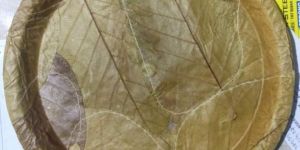 Sal Leaf Thali
