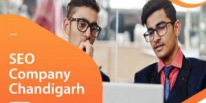 What Makes a Good Website Ranked with SEO Company Chandigarh