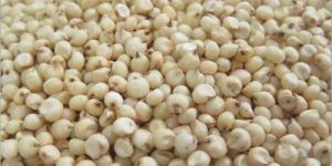 Natural Jowar Seeds