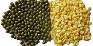 Natural Mung Beans