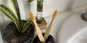 Eco-Friendly Toothbrush Holder