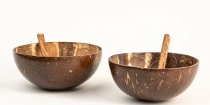 Mini Coconut Shell Bowl & Spoon Set