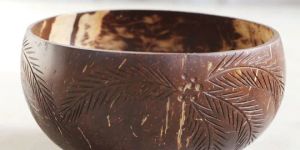 Palm Leaf Jumbo Coconut Bowl & Cutlery Set