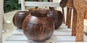 Coconut Shell Flower Pot