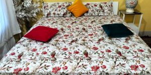 Super King Cotton Bedsheet