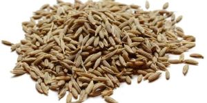 Cumin Seeds