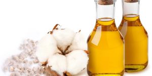 Refined Cottonseed Oil