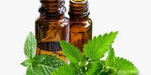 Peppermint Essential Oil