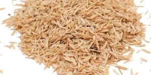 Rice Husk
