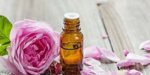 Rose Essential Oil
