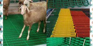 Goat Plastic Slatted Flooring