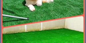 Pet Artificial Lawn Grass