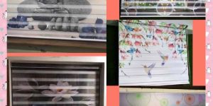 Printed Zebra Blinds