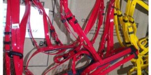 PVC Horse Bridle Reins Plus Martingale Complete Set