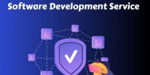 Smart Contract Based Nft Software Development Service