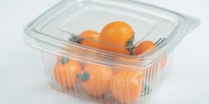 Food Containers