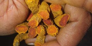 TURMERIC FINGURE