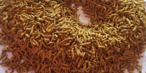 Whole Turmeric Finger